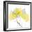 Aspen Yellow Gray-Albert Koetsier-Framed Photographic Print