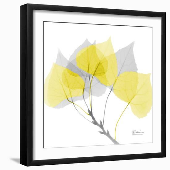 Aspen Yellow Gray-Albert Koetsier-Framed Photographic Print