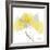 Aspen Yellow Gray-Albert Koetsier-Framed Photographic Print