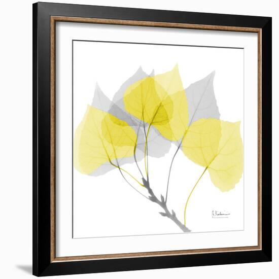 Aspen Yellow Gray-Albert Koetsier-Framed Photographic Print