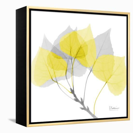 Aspen Yellow Gray-Albert Koetsier-Framed Premier Image Canvas