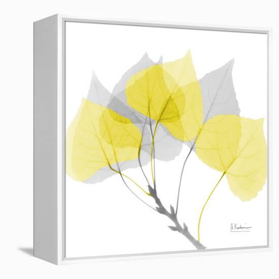 Aspen Yellow Gray-Albert Koetsier-Framed Premier Image Canvas