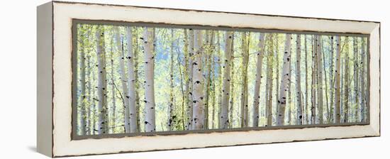 Aspen-Shelley Lake-Framed Premier Image Canvas