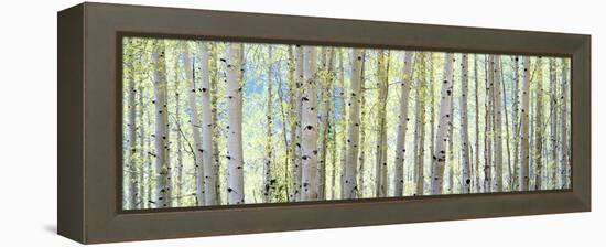 Aspen-Shelley Lake-Framed Premier Image Canvas