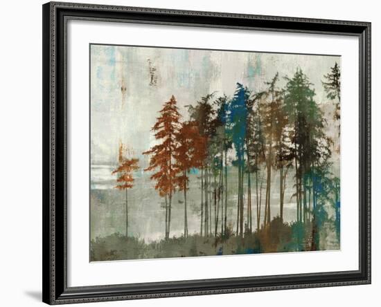 Aspen-Andrew Michaels-Framed Art Print