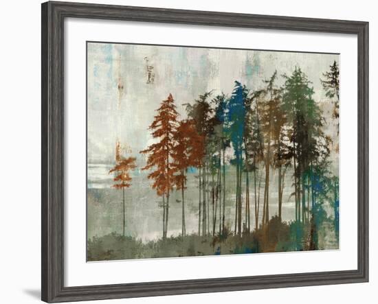 Aspen-Andrew Michaels-Framed Art Print