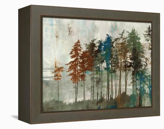 Aspen-Andrew Michaels-Framed Stretched Canvas