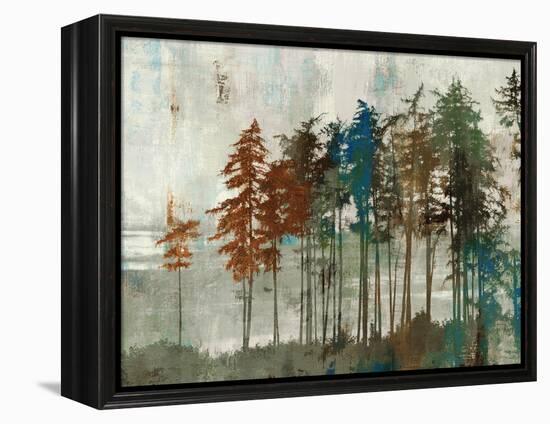 Aspen-Andrew Michaels-Framed Stretched Canvas