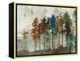 Aspen-Andrew Michaels-Framed Stretched Canvas