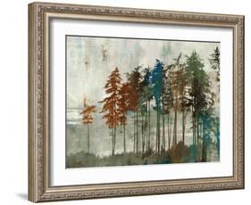 Aspen-Andrew Michaels-Framed Art Print