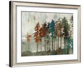 Aspen-Andrew Michaels-Framed Art Print