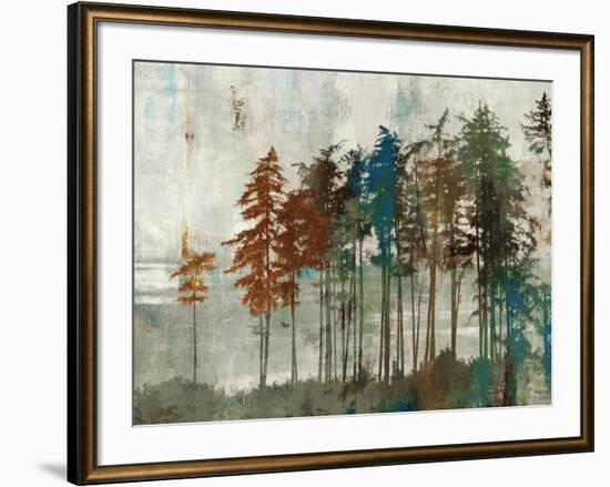 Aspen-Andrew Michaels-Framed Art Print