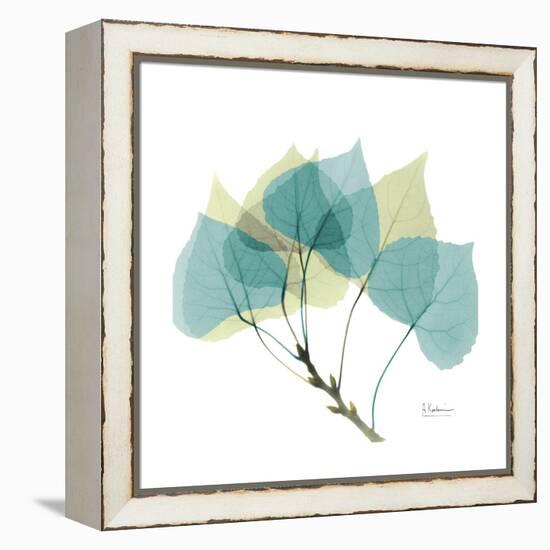 Aspen-Albert Koetsier-Framed Stretched Canvas