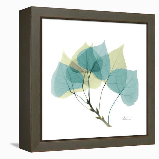 Aspen-Albert Koetsier-Framed Stretched Canvas