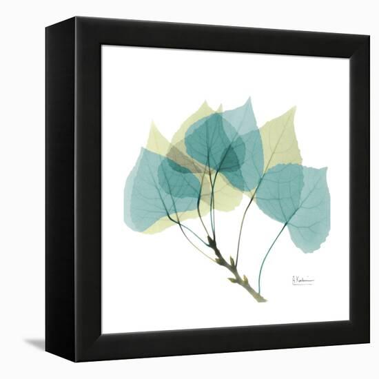 Aspen-Albert Koetsier-Framed Stretched Canvas