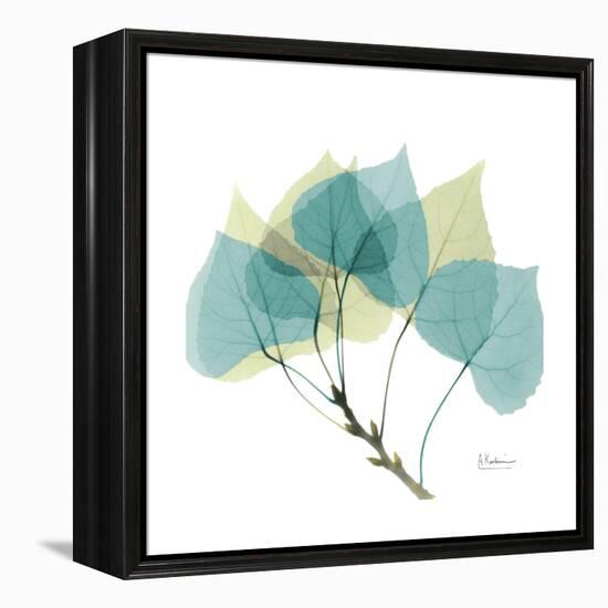 Aspen-Albert Koetsier-Framed Stretched Canvas