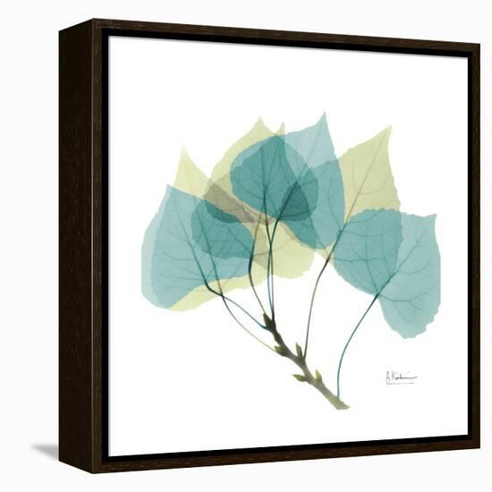 Aspen-Albert Koetsier-Framed Stretched Canvas