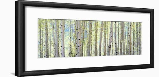 Aspen-Shelley Lake-Framed Photographic Print