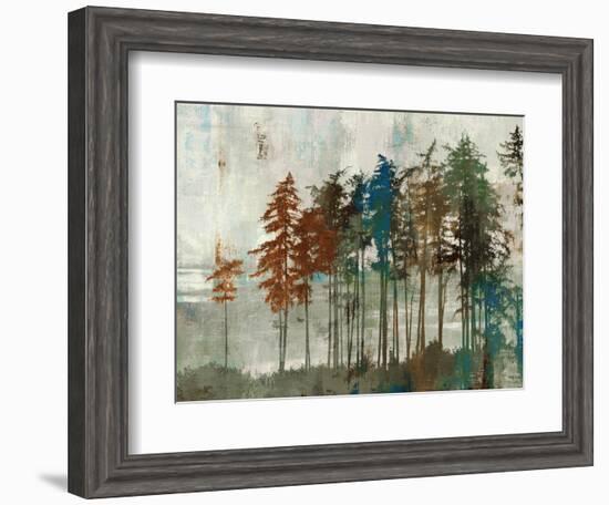 Aspen-Andrew Michaels-Framed Art Print