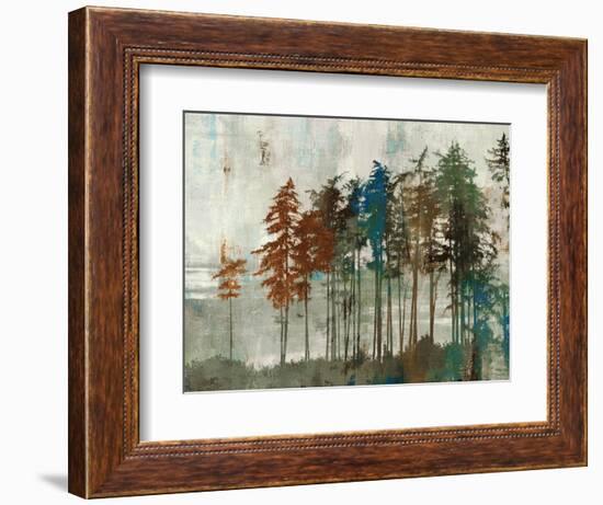 Aspen-Andrew Michaels-Framed Art Print