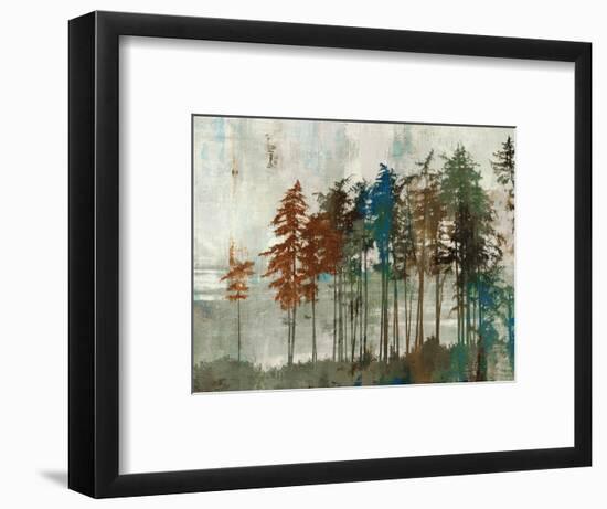 Aspen-Andrew Michaels-Framed Art Print