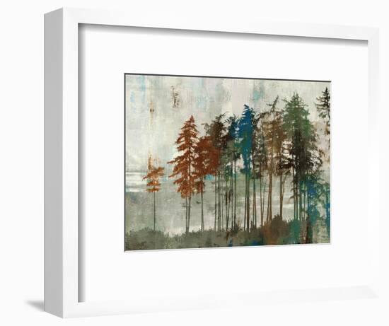 Aspen-Andrew Michaels-Framed Art Print