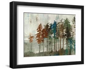 Aspen-Andrew Michaels-Framed Art Print