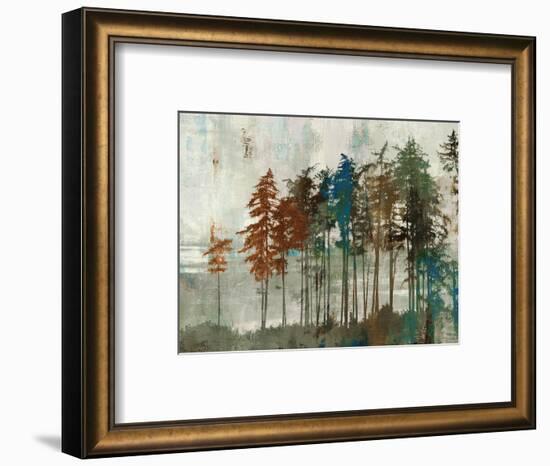 Aspen-Andrew Michaels-Framed Art Print