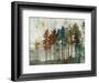 Aspen-Andrew Michaels-Framed Art Print