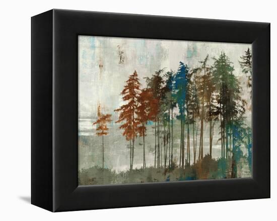 Aspen-Andrew Michaels-Framed Stretched Canvas