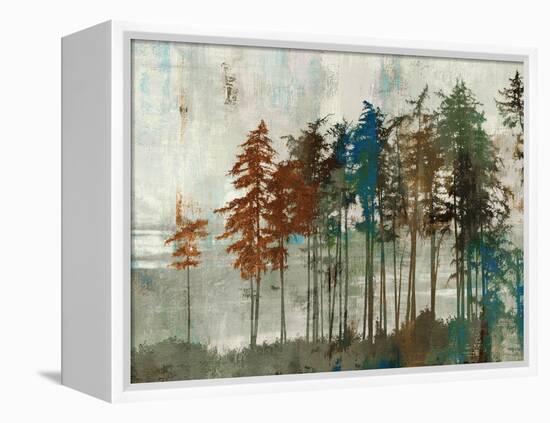 Aspen-Andrew Michaels-Framed Stretched Canvas