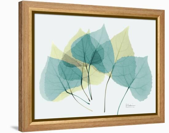 Aspen-Albert Koetsier-Framed Stretched Canvas