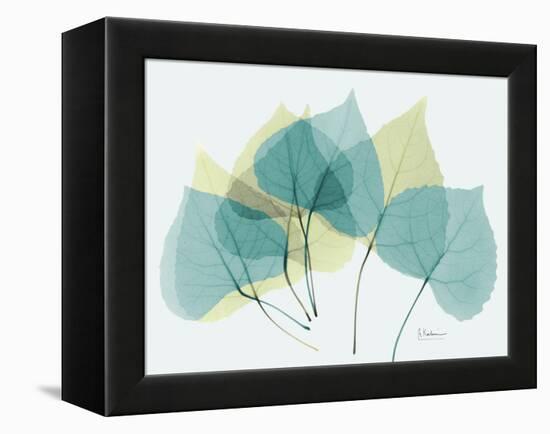 Aspen-Albert Koetsier-Framed Stretched Canvas