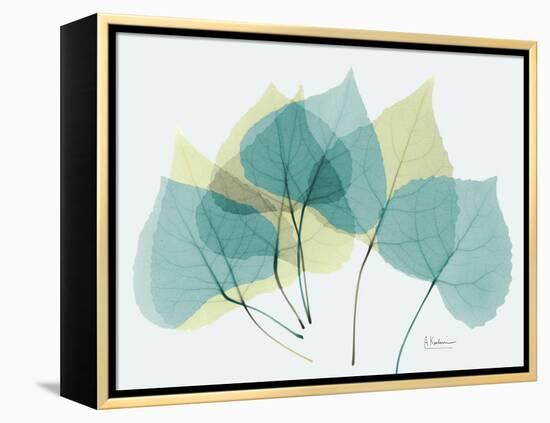 Aspen-Albert Koetsier-Framed Stretched Canvas