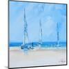 Aspendale Sails 2-Craig Trewin Penny-Mounted Art Print