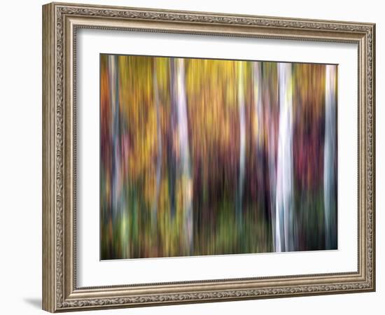 Aspenlandia-Ursula Abresch-Framed Photographic Print