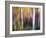 Aspenlandia-Ursula Abresch-Framed Photographic Print