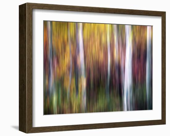 Aspenlandia-Ursula Abresch-Framed Photographic Print