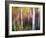 Aspenlandia-Ursula Abresch-Framed Photographic Print