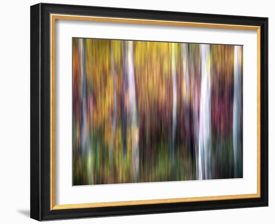 Aspenlandia-Ursula Abresch-Framed Photographic Print