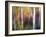 Aspenlandia-Ursula Abresch-Framed Photographic Print