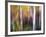 Aspenlandia-Ursula Abresch-Framed Photographic Print