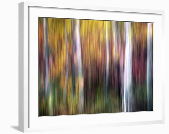 Aspenlandia-Ursula Abresch-Framed Photographic Print