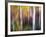 Aspenlandia-Ursula Abresch-Framed Photographic Print