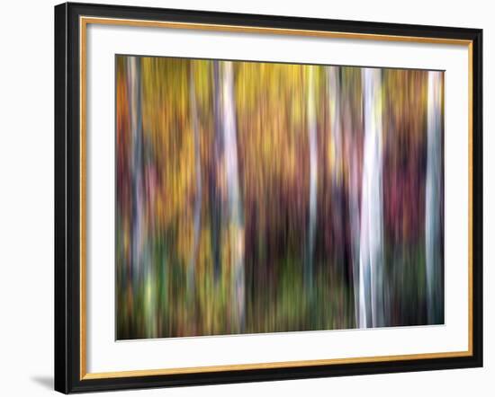 Aspenlandia-Ursula Abresch-Framed Photographic Print