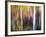 Aspenlandia-Ursula Abresch-Framed Photographic Print