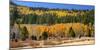 Aspens and Evergreens Brighten a Fall Day in Hope Valley, California-John Alves-Mounted Photographic Print