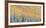 Aspens and Evergreens-Dan Ballard-Framed Photographic Print