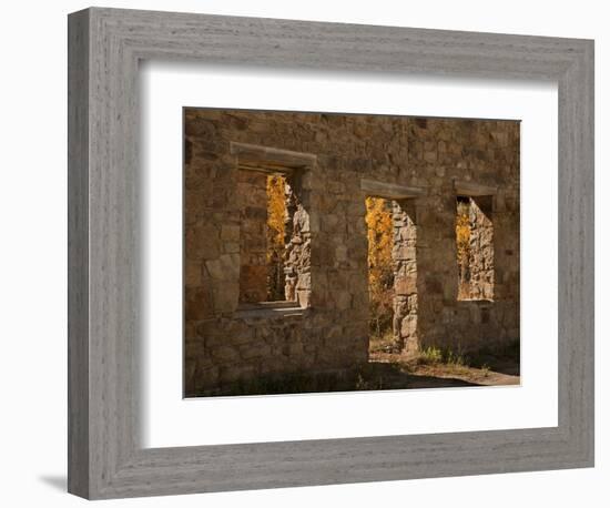 Aspens in Abandoned Building, Central City, Colorado, USA-Don Grall-Framed Photographic Print