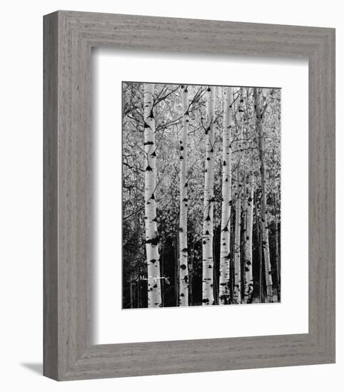 Aspens in Autumn II-Alan Majchrowicz-Framed Photo